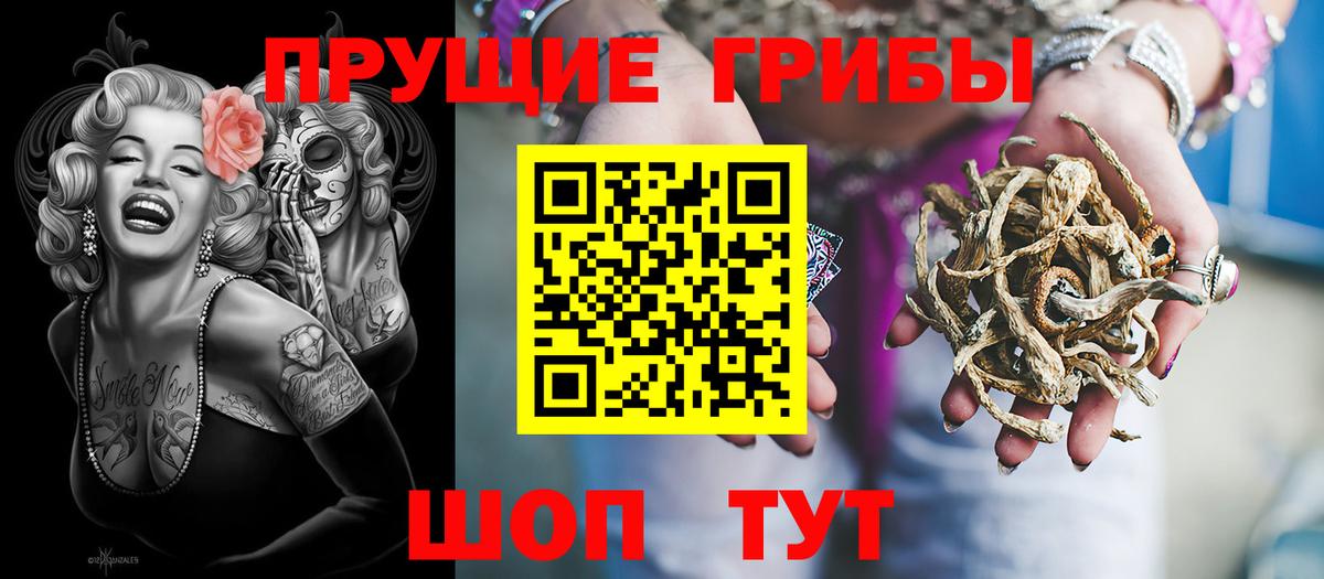 Галлюциногенные грибы Psilocybe  Галлюциногенные грибы Psilocybe  Вход с VPN  наркотики  Можайск 